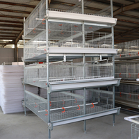 Cage à poules pondeuses d'élevage Linchuan d'occasion, type H, en acier galvanisé, 3/4 niveaux, capacité 96-148 poulets, facile à nettoyer
