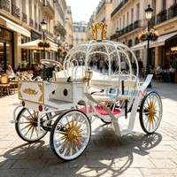 Calèche royale citrouille Cendrillon 6 places, idéale pour cérémonies de mariage, parcs à thème, visites de sites touristiques et séances photo événementielles