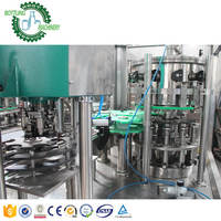 Machine de remplissage de canettes PET 2 en 1 12-1 Monobloc PLC Control Carbon Dioxide Carbonated Soda Water Beverage Mouming Wine 200ml 250ml