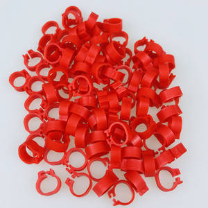 100 Stks/zak Plastic Duif Accessoires 10 Kleur Race Duif Voet <span class=keywords><strong>Ring</strong></span> In Meerdere Maten Kwaliteit Huisdierproducten Te Koop - Product Image 5