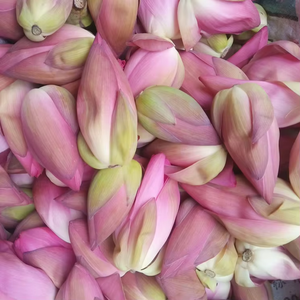 He Hua Factory Supply Getrocknete Nelumbo Nucifera Whole Red Pink Lotus Individuell verpackte wilde Natur für Weihnachten und Ostern - Product Image 2