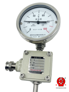Termometer Bimetal Industri dengan Transmisi Jarak Jauh Pt100 RTD Pengukur Suhu Bimetalik Baja Tahan Karat Keluaran 4-20mA - Product Image 2