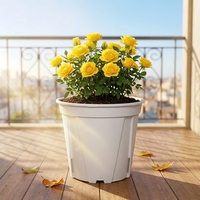 Pots de fleurs modernes, mignons, durables et légers en plastique PP blancs pour pépinière, jardin vertical, sol, démarrage, élégants, pour bureau et intérieur