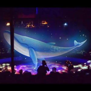 홀로그램 메쉬 프로젝터 스크린 Pepperscrim 디스플레이 3D 홀로그램 - Product Image 3