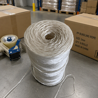 Ficelle en polypropylène blanc PP de 1 kg, durable, pour l'agriculture, l'emballage commercial, les cordes de ligature et le paillage