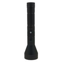 Lampe torche LED UV rechargeable en alliage d'aluminium, 400 nm, 1200 mAh, piles AAA, étanche, pour animaux de compagnie, vente en gros