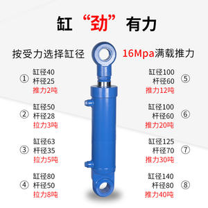 Vérin hydraulique HSG 8 tonnes personnalisé, simple ou double action, avec levage électrique, vente directe usine, conception non standard pour - Product Image 4