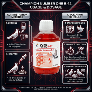Suplemento en Polvo de Vitamina B-12 Profesional Champion Número UNO, 20 ml, Mejora la Velocidad de Vuelo, Resistencia y Potencia, Salud para <span class=keywords><strong>Palomas</strong></span> de Competición - Product Image 4