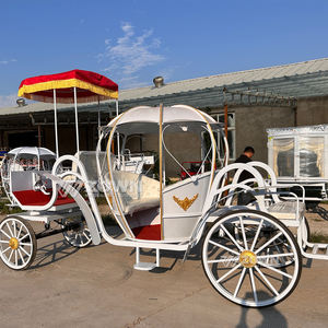 Chariot de Cendrillon Électrique Personnalisé en Forme de Citrouille à 4 Roues de Haute Qualité à Prix Abordable - Product Image 5