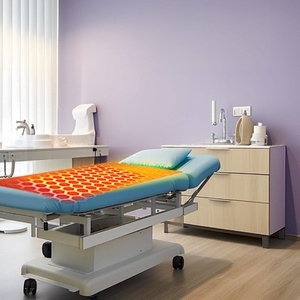Manta Eléctrica de Turmalina con Infrarrojos Lejanos, Tamaño Individual, con Calentamiento Rápido para Aliviar el Dolor de Artritis - Product Image 4