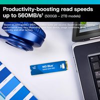 Untuk Blue SA510 M.2 SATA Internal SSD 500 GB, baru dengan kecepatan baca hingga 560 MB/dtk
