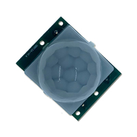 Module de capteur infrarouge pyroélectrique PIR à déclenchement répété réglable SB612A-02-001 pour la détection du corps humain
