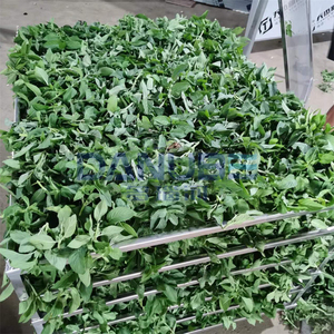 Food Grade Flower Dehydrator Seaweeds Straw Grass Dryer Mint Raspberry Leaf Hemp Drying Machine - Product Image 5