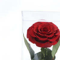 Bouquet de roses éternelles en acrylique sous cloche en verre, fait main, pour la remise des diplômes, la Saint-Valentin, Noël