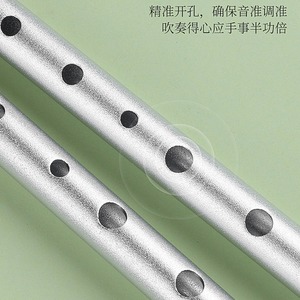 Flauta de metal en clave de Do, clave de Re, flauta recta de tono alto para niños, principiantes, juguete educativo, instrumento musical, de 8 a 13 años, unisex - Product Image 4