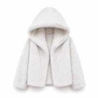 Manteau en fausse fourrure de renard écologique pour femmes, à capuche, surdimensionné, chaud, isolant thermiquement, vêtements d'extérieur décontractés pour l'hiver