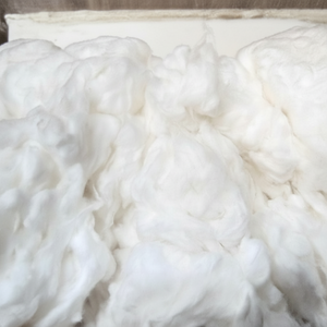 Coton de bonne qualité, peigné, qualité A et B, anti-bactérien, écologique (Mme Xavia +84 333371330) - Product Image 1