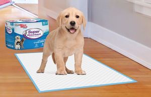 2024 מכירה חמה סופר סופג אספקה יבשה מהירה לחיות מחמד כלבים פיפי רפידות אימון עבור כרית גור - Product Image 6