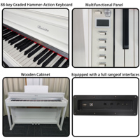 Beisite Custom Brand 88 Keys Hammer French Dream Source Rechargeable Electronic Upright Digital MIDI Piano Keyboard Solid Wood