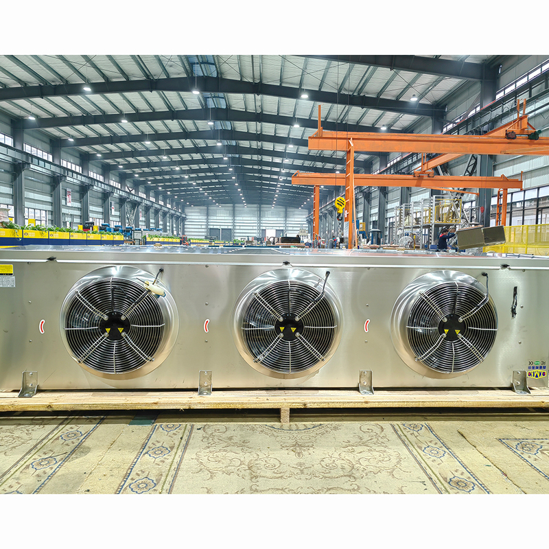 USA 304 Stainless Steel 220V 60Hz