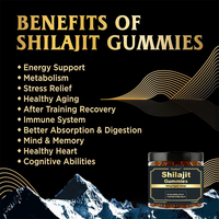 Complément alimentaire en gommes de Shilajit de l'Himalaya certifié GMP, marque privée OEM, avec 600 mg d'acide fulvique et de minéraux traces
