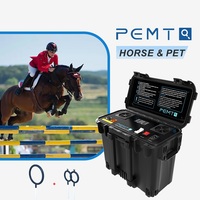 Appareil de thérapie PEMF pour chevaux, haute intensité, boucle magnétique pulsée 24700 Gauss pour la récupération des performances équines et le soutien articulaire