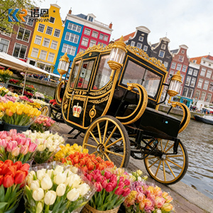 Carruajes Reales Tirados por Caballos, Carroza de Cenicienta para Bodas, Carruaje de Lujo Estilo <span class=keywords><strong>Victoria</strong></span>, Carruaje para Conducir con Caballos - Product Image 5