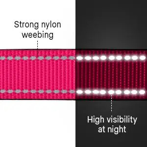 Collare <span class=keywords><strong>per</strong></span> Cani in Nylon a Prezzo di Fabbrica, Consegna Rapida, Stile Classico Durevole con <span class=keywords><strong>Targhetta</strong></span> Personalizzata, Senza Rumore - Product Image 6