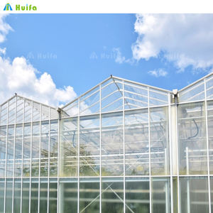 Venlo in vetro Nigeria serra Multi-Span fiori commerciali verde casa con il sistema idroponico di pomodoro - Product Image 4