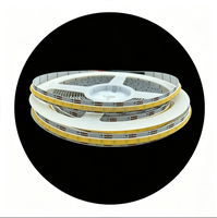 Bande lumineuse COB bicolore 12V 8mm 576 LED/m 3000K-6000K Blanc chaud Blanc IP20 Silicone auto-adhésif pour décoration Populaire
