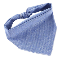 Vente Flash : Bandana Triangulaire Populaire pour Animaux de Compagnie – Accessoire Décoratif Personnalisable avec Logo, Idéal pour les Fêtes et les Promenades en Toute Saison