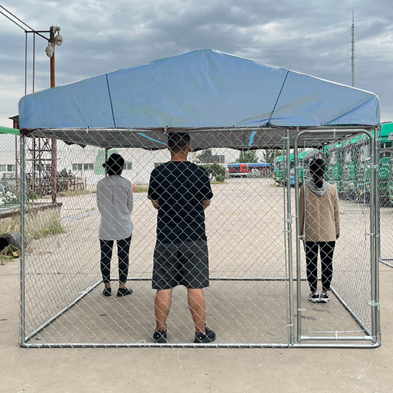 How to Choose the Best Large Outdoor Cage for Your Needs