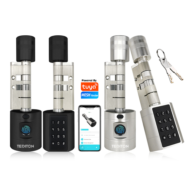 Smart Cylinder Lock Euro Cylinder Biometric Fingerprint TTlock App WiFi for Existing System Digital Keyless Entry Waterproof