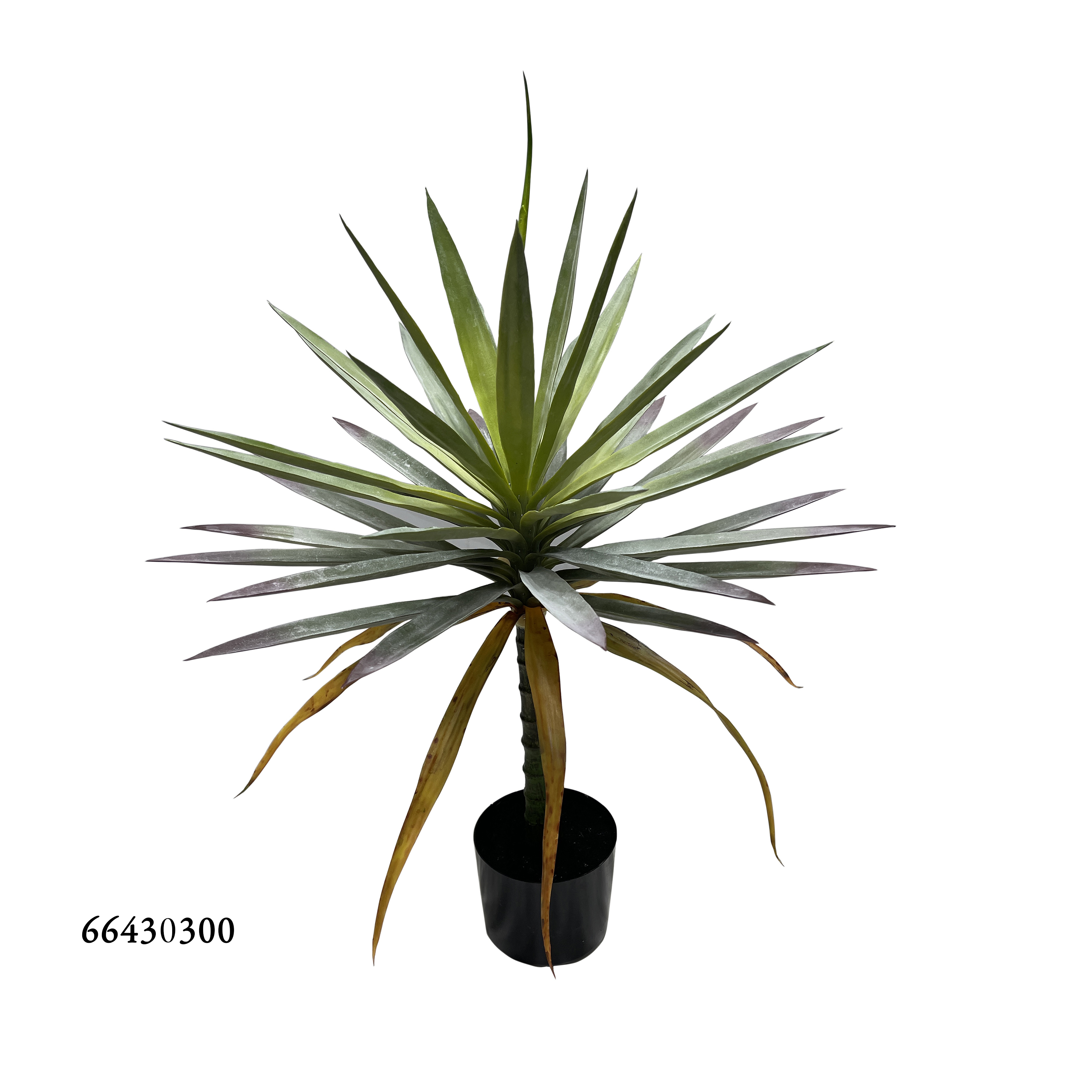 Verde80cm