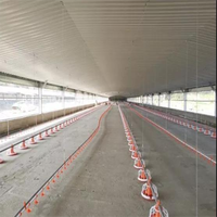 Abri pour poulets à cadre en acier à isolation thermique pour élevage de volailles Panneau sandwich Toit/mur pour poulets de chair volailles