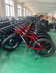 <strong>Ebike</strong> 60v 750w <strong>Ebike</strong> 1 Piece - Product Image 5