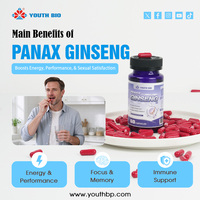 Capsules d'extrait de Panax Ginseng en gros, complément alimentaire, stimulant énergétique pour hommes et femmes, flacon de 60 capsules végétariennes