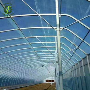 La Mongolie commercialise un grand système de serre d'hiver pour les systèmes de culture NFT Pipe en <span class=keywords><strong>PVC</strong></span> Grow Strawberry/Blueberry - Product Image 5