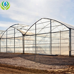 Serra moderna del tunnel del bordo del pc di coltivazione del fungo isolata doppio arco dell'azienda agricola di MYXL - Product Image 2