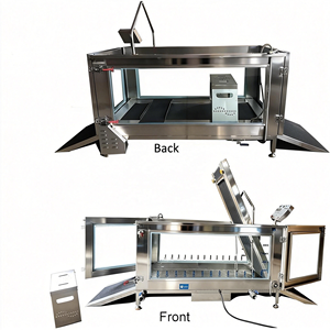 Caminadora Acuática para Perros Grandes de 30KG a 200KG, con Calentador, Hidroterapia, para Uso Veterinario - Product Image 4