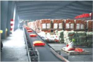 Bio Compost Organico Concime NPK Produce commercio all'ingrosso agricoltura bio organico + fertilizzante - Product Image 3