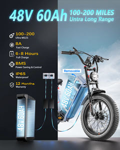 Vélo électrique tout-terrain avec moteur puissant de 250 W, batterie longue portée de 52 V, écran LCD et design étanche - Product Image 4