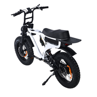 Bicicleta Eléctrica Todoterreno de 1000W con Doble Motor, Neumáticos Anchos, Suspensión Completa, Frenos Hidráulicos de 4 Pistones, Bicicleta Eléctrica para Adultos