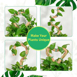 Grandes perches en fibre de coco naturelle pliables de 100 cm pour la vente en gros - Design minimaliste écologique pour la croissance des plantes grimpantes Monstera, <span class=keywords><strong>jardin</strong></span> domestique - Product Image 4
