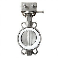 Válvula de mariposa SS304 CF8 con actuador, oblea de cuerpo concéntrico/excéntrico/LT/conexión de brida para medios de agua