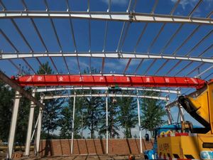 Grúa Monoviga Robusta, Ideal para el Manejo de Materiales Pesados, Segura y Duradera, para Logística y Construcción - Product Image 6