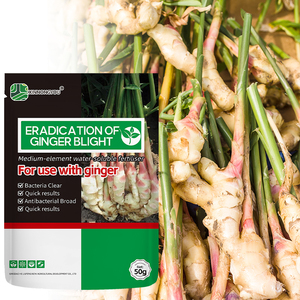 Fertilizante Especializado para la Resistencia a Enfermedades del Jengibre y Mejora del Rendimiento, Fertilizante Orgánico Soluble en Agua - Product Image 1