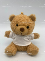 Ours en peluche personnalisé Songshan Toys Kawaii 11 cm avec logo OEM, porte-clés, jouet pour enfant, cadeau