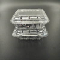 Vente en gros Boîte transparente personnalisée pour les fruits, les myrtilles, les fruits, les fraises, les cerises Emballage en plastique Contenants alimentaires Panier en coquille de palourde avec couvercles
