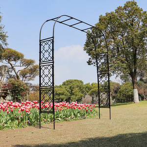 Arche de jardin en fer pour plantes grimpantes, design creux durable, utilisation extérieure - Product Image 6